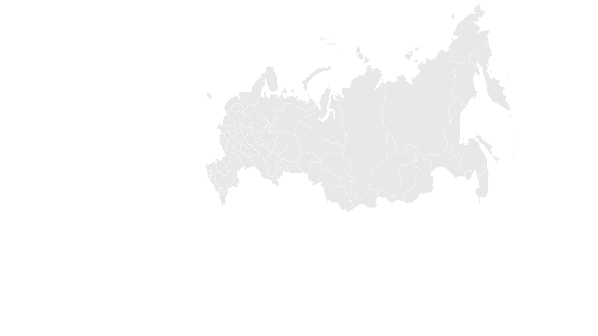 Лидер российского рынка Лидер российского рынка